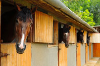 free Bucklands stable construction quotes